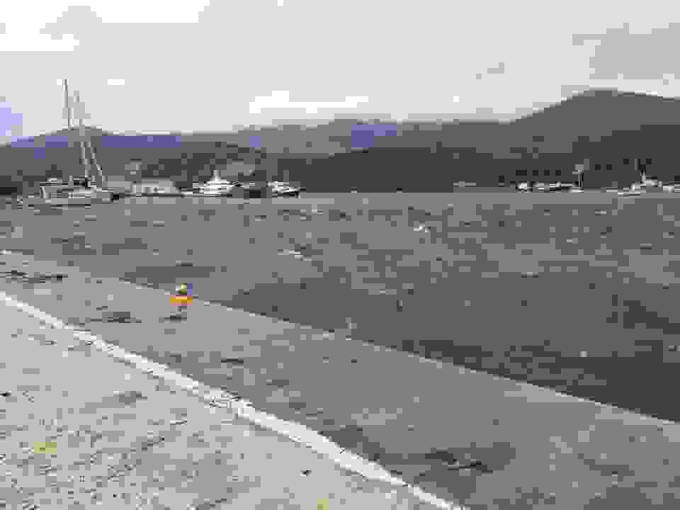 AN