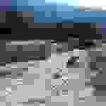 an