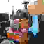 an19