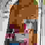 an9