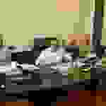 an9