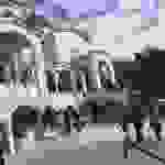 an