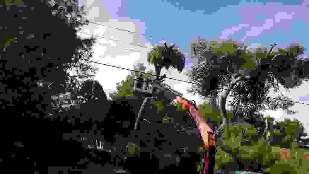 an