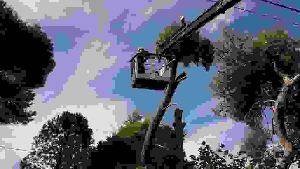 an1