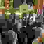an12