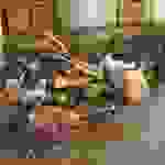 an2