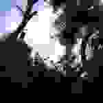 an7