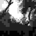 an8