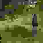 an9
