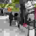 an9