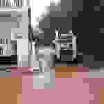 an9