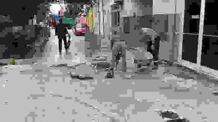 20161129_090742