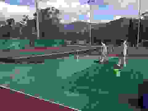 an