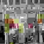 an2