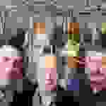 an3