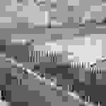 an