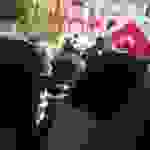 an
