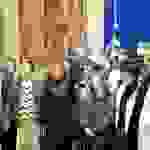 an2