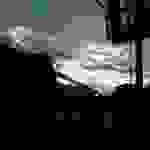 an2
