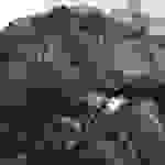 an2