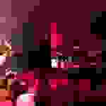 an2