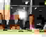 an3