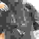 an3