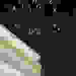 an3