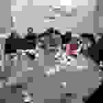 an6