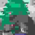 an6