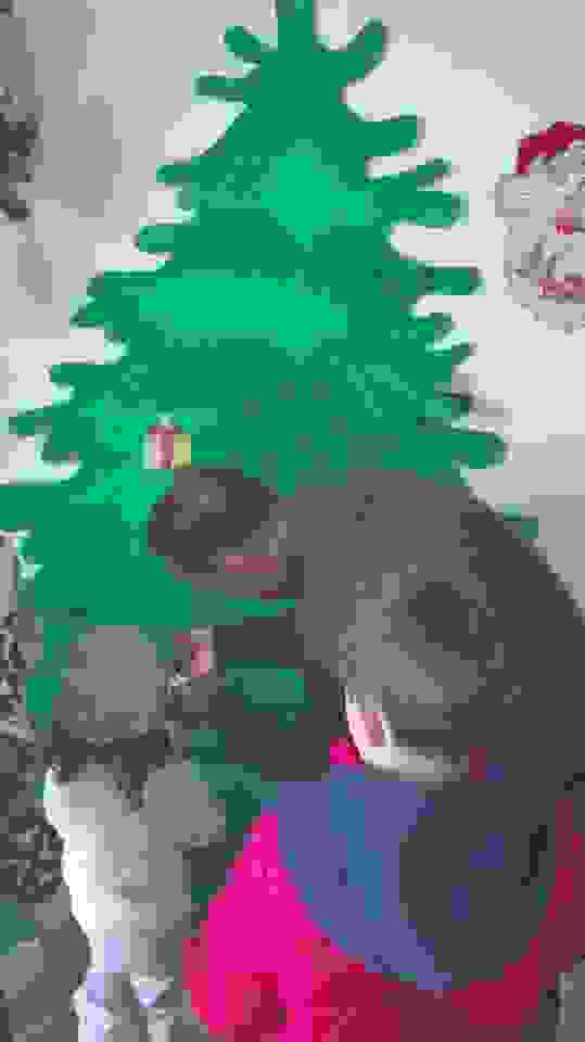 an6