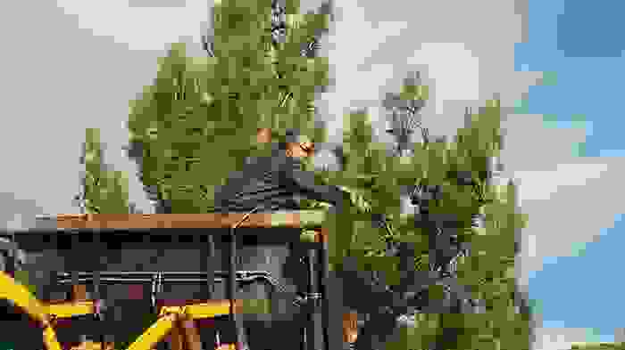 20170128_104544