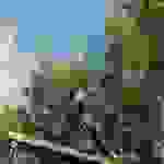 20170128_104908