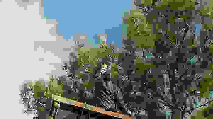 20170128_104908