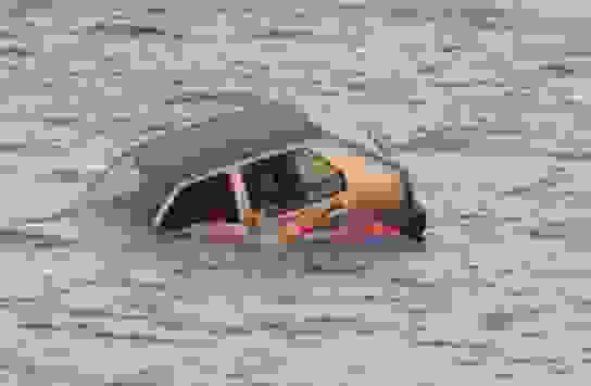 AN 21