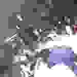 an