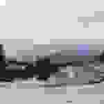 an