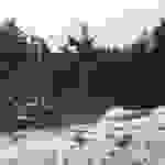 an3