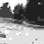 an5