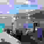 an5