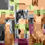 an7