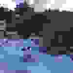 an8