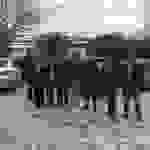 an