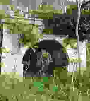 An 52