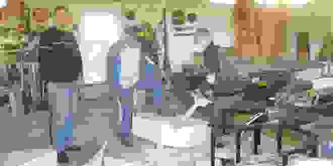 An 81