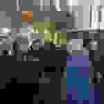 an1