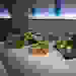 an2