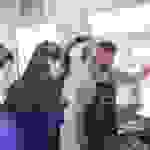 an6