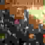 an