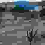 an2